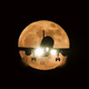Image for article titled Planes Don't Carry Tanks Of Oxygen. So What's In Your Emergency Mask?